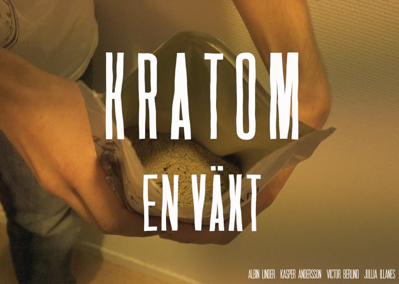 Kratom bild 3